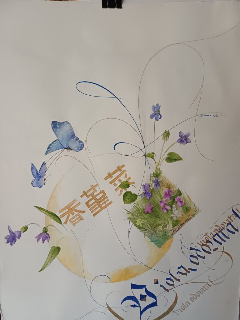 Viola Odorata L