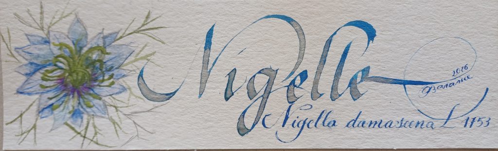 marque page Nigelle